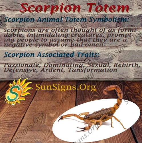 Interprétation Des Rêves De Scorpion