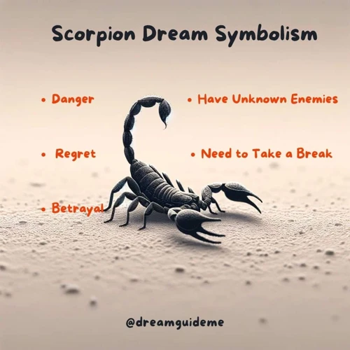 Interprétations Des Rêves De Scorpion