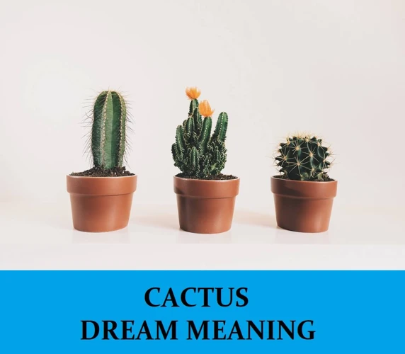 Interprétations Spécifiques Des Rêves De Cactus