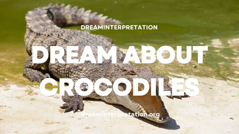 Le Crocodile Dans Différentes Cultures