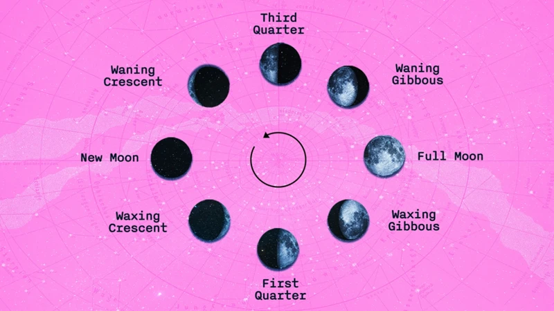 Les Différents Types De Rêves De Lune