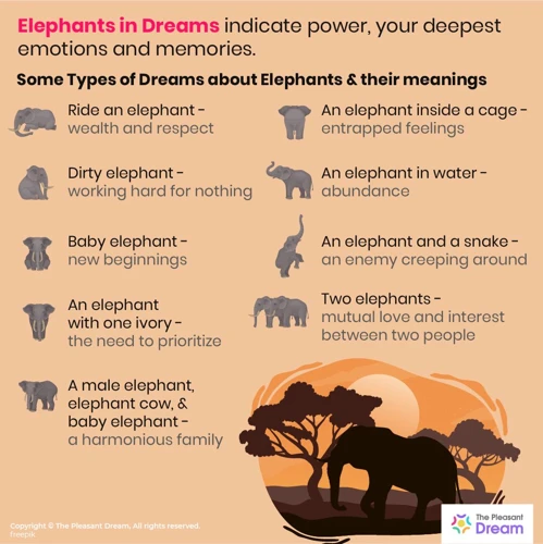 Les Émotions Associées Aux Rêves D'Éléphant