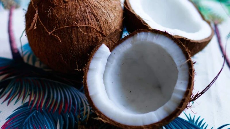 Les Origines De La Noix De Coco