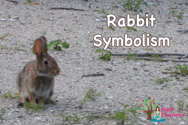 Le Lapin Comme Symbole De Peur Ou De Vulnérabilité