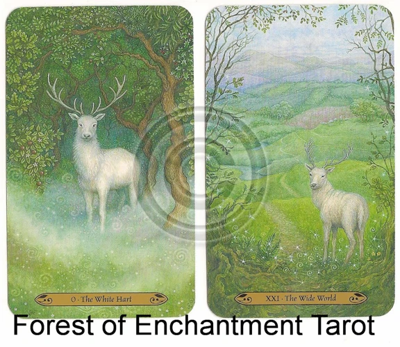 Le Chevreuil Dans La Symbolique Des Cartes De Tarot